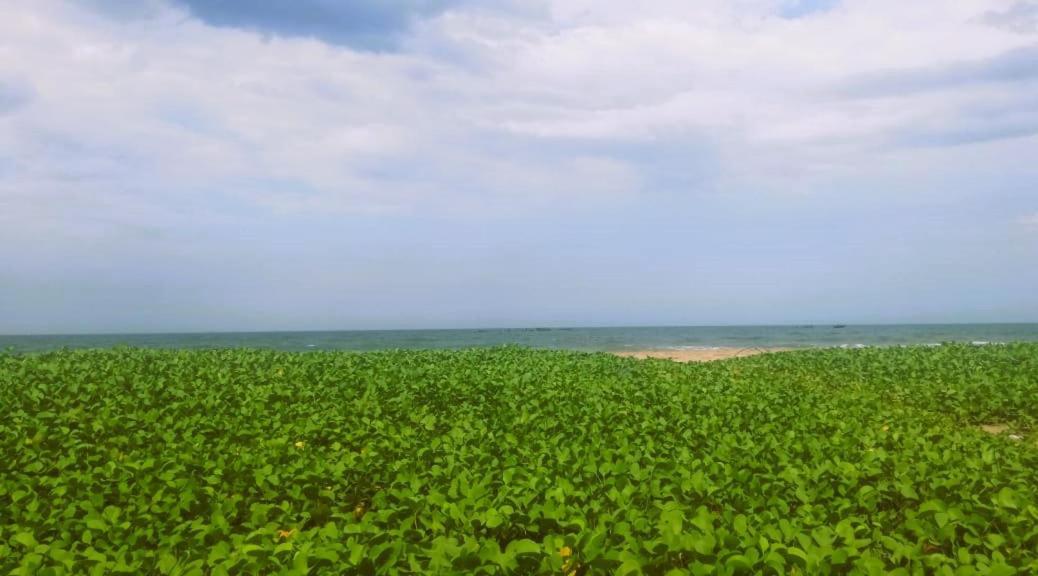 Chan Beach Resort Bahur Exterior foto